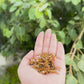 Marigold Clove Green Tea