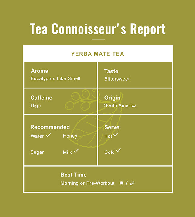 Yerba Mate Tea